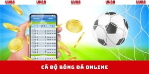 cá độ bóng đá online