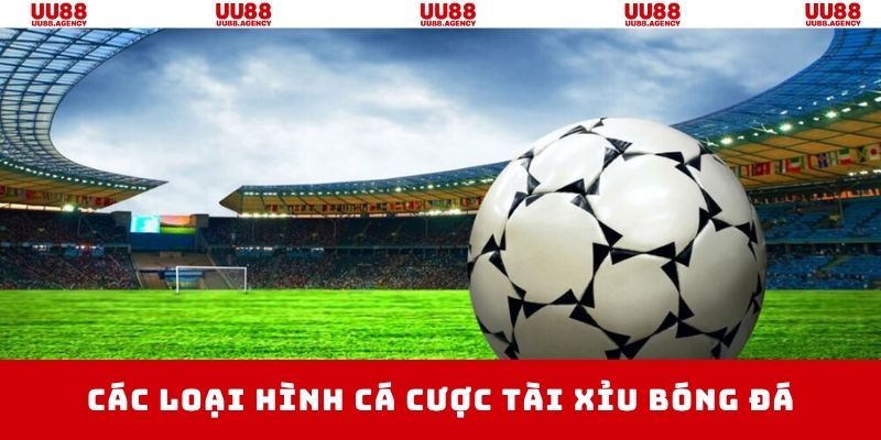 Những loại hình kèo cược tài xỉu bóng đá được ưa chuộng