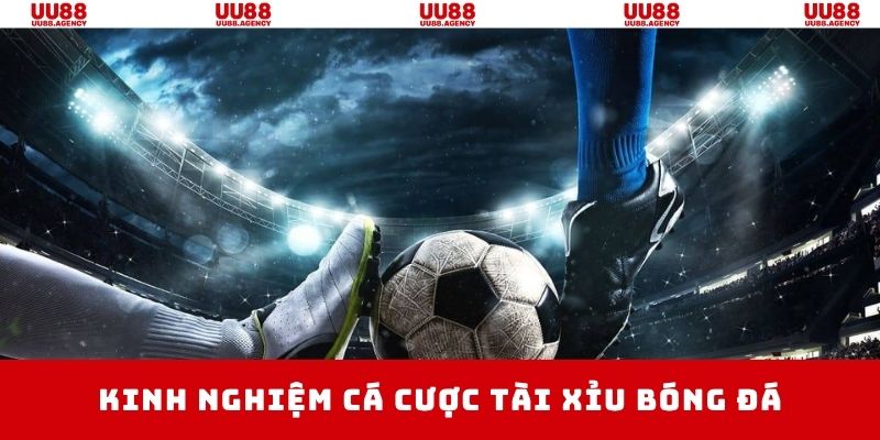 Kinh nghiệm bất bại thắng lớn khi thành viên cá cược kèo tài xỉu